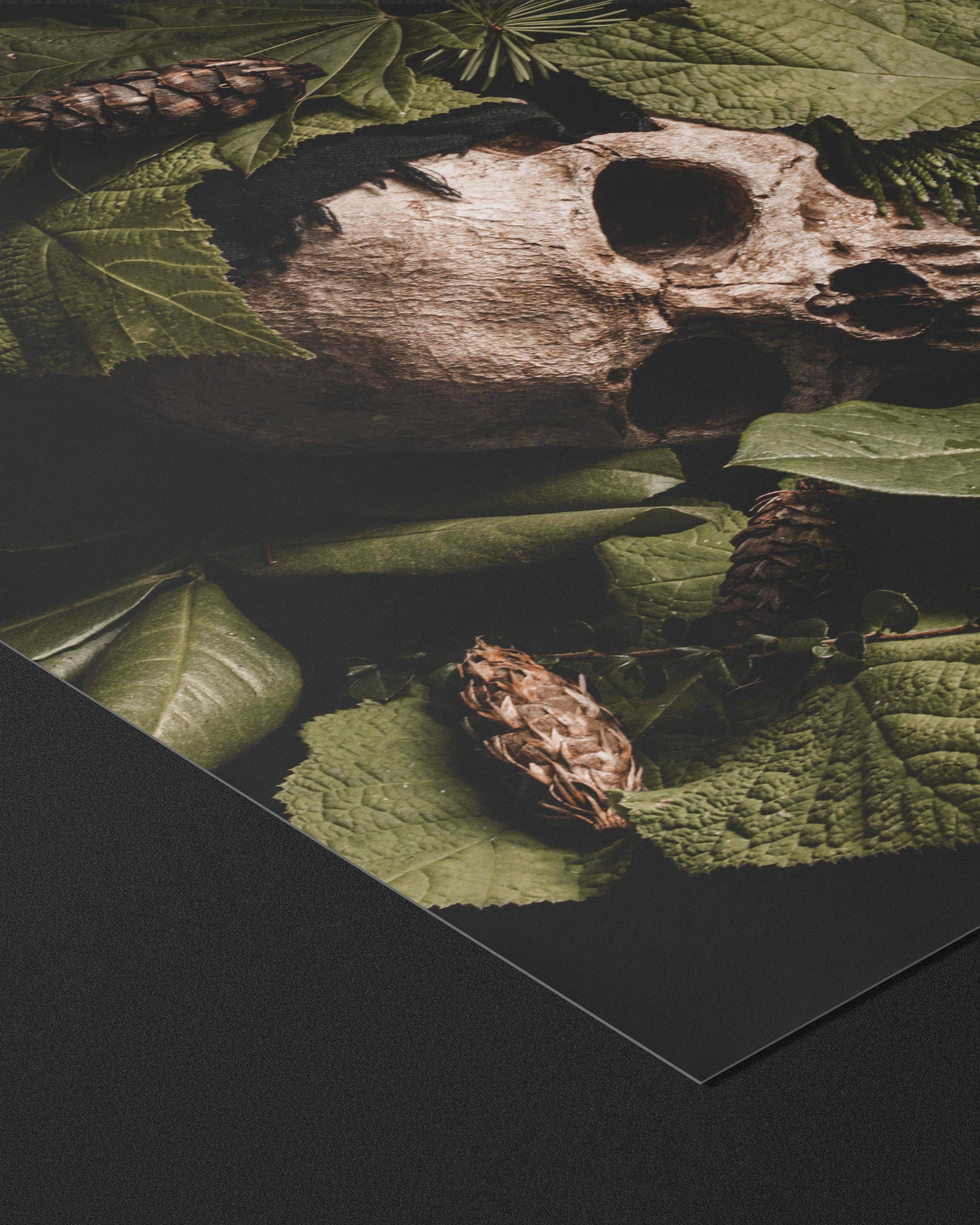 Alyssa Thorne - Wholesale Art Print - Verdant Repose | Dark Forest Vanitas Still Life2