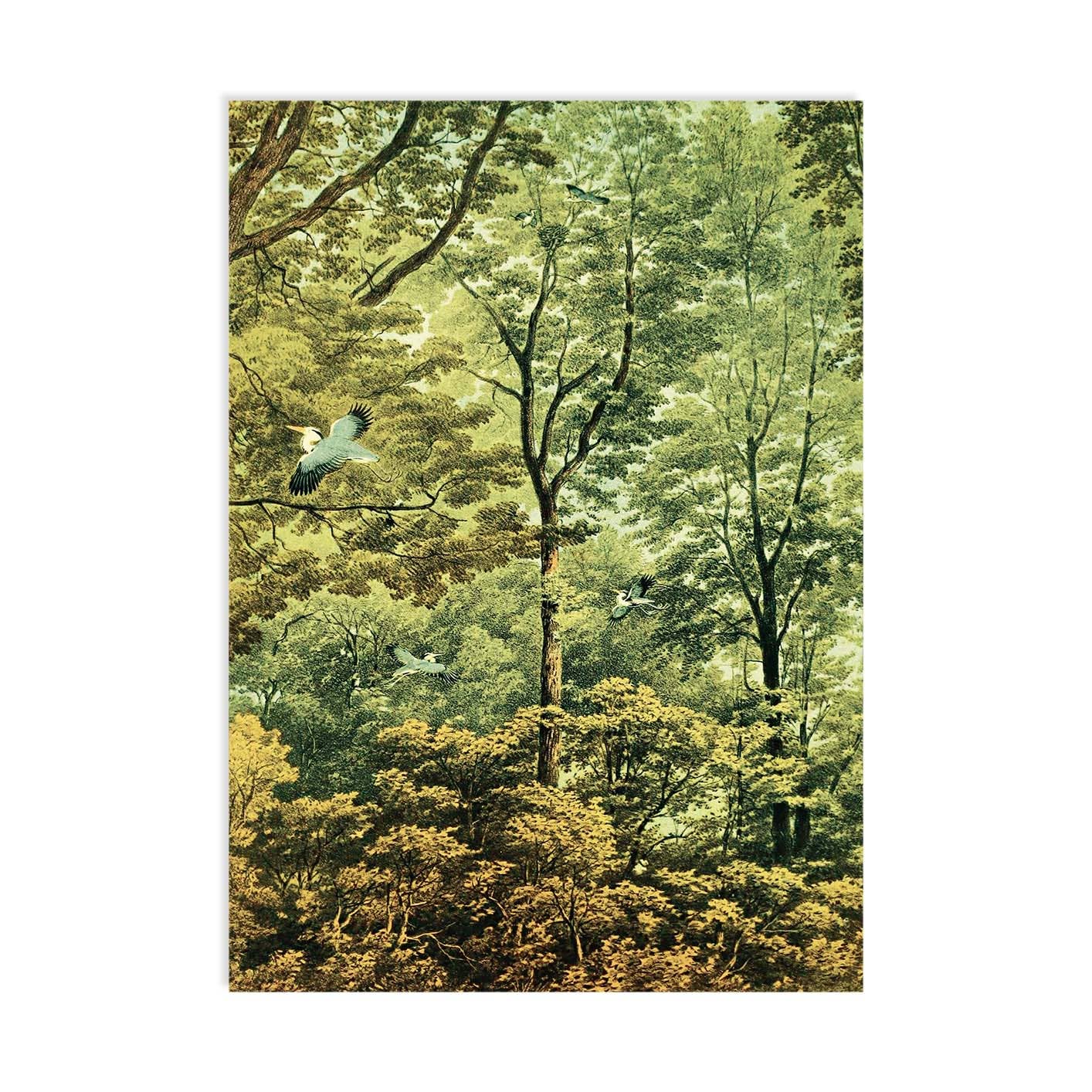 30x40 - Wholesale Postcard - Golden Age Postcard0