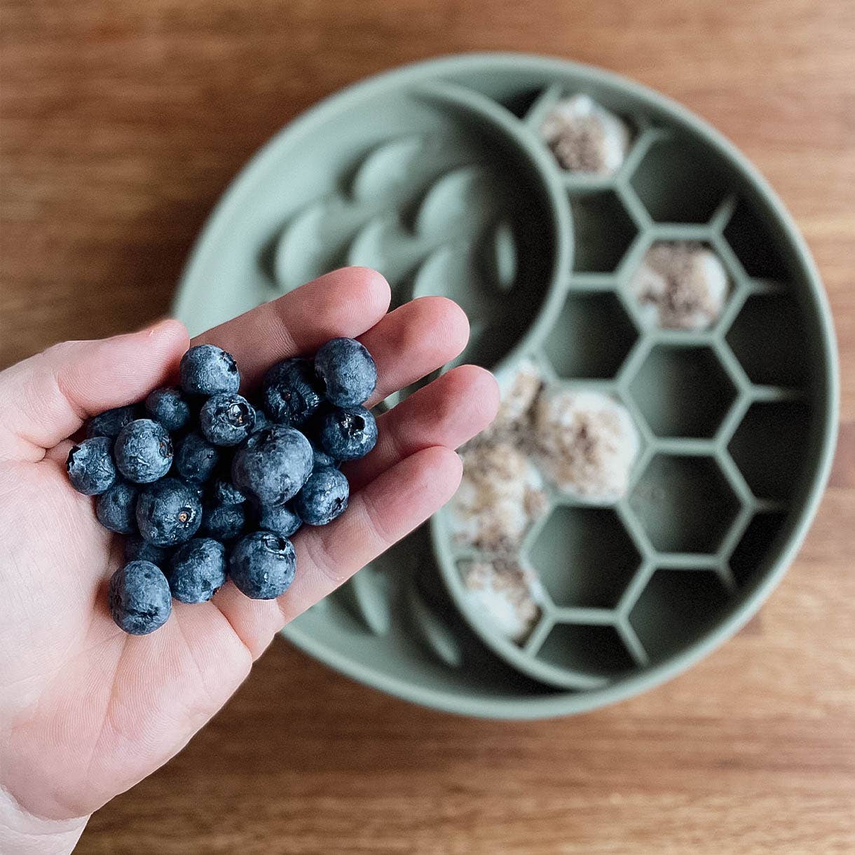 ne&no - Wholesale Pet Bowl - Cat/Dog - ne&no® Anti-Gulping Bowl / Licking Dish for Dogs & Cats17