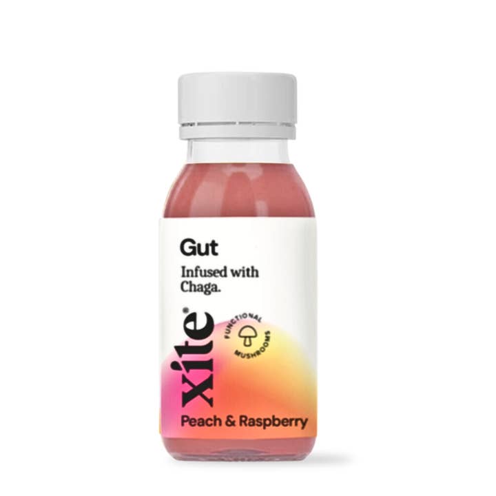 Xite Gut Shot Chaga and Kefir for wholesale by Xite Nootropics