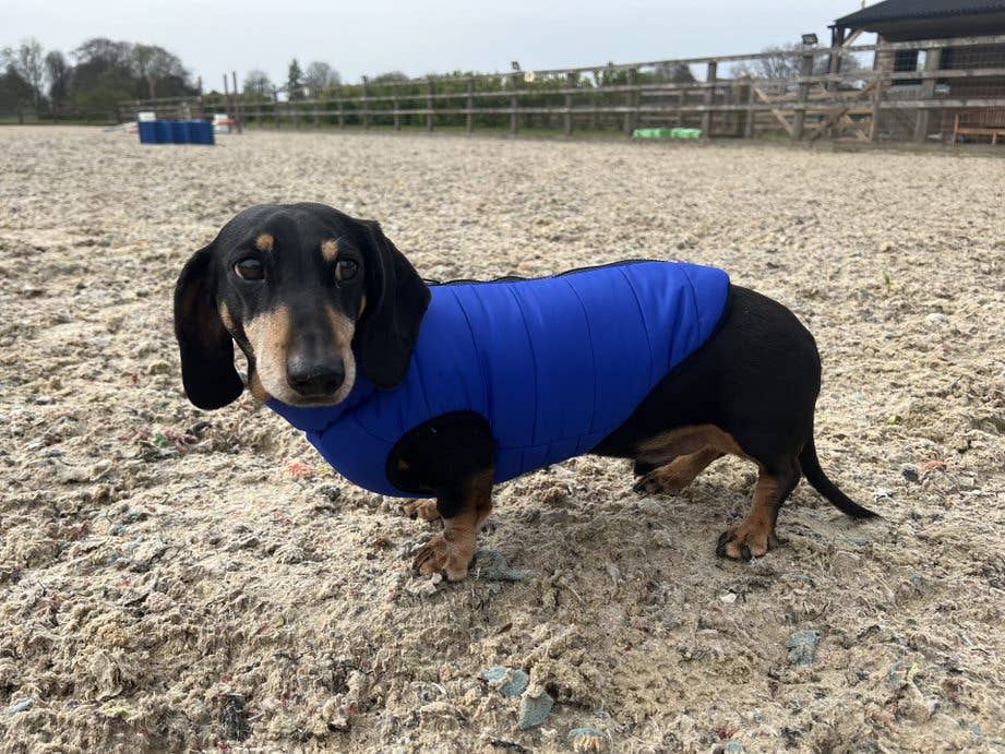 Henry Wag - Venta al por mayor Abrigo - Perros - Abrigo Acolchado para Perros de Doggy Concepts Outerwear12