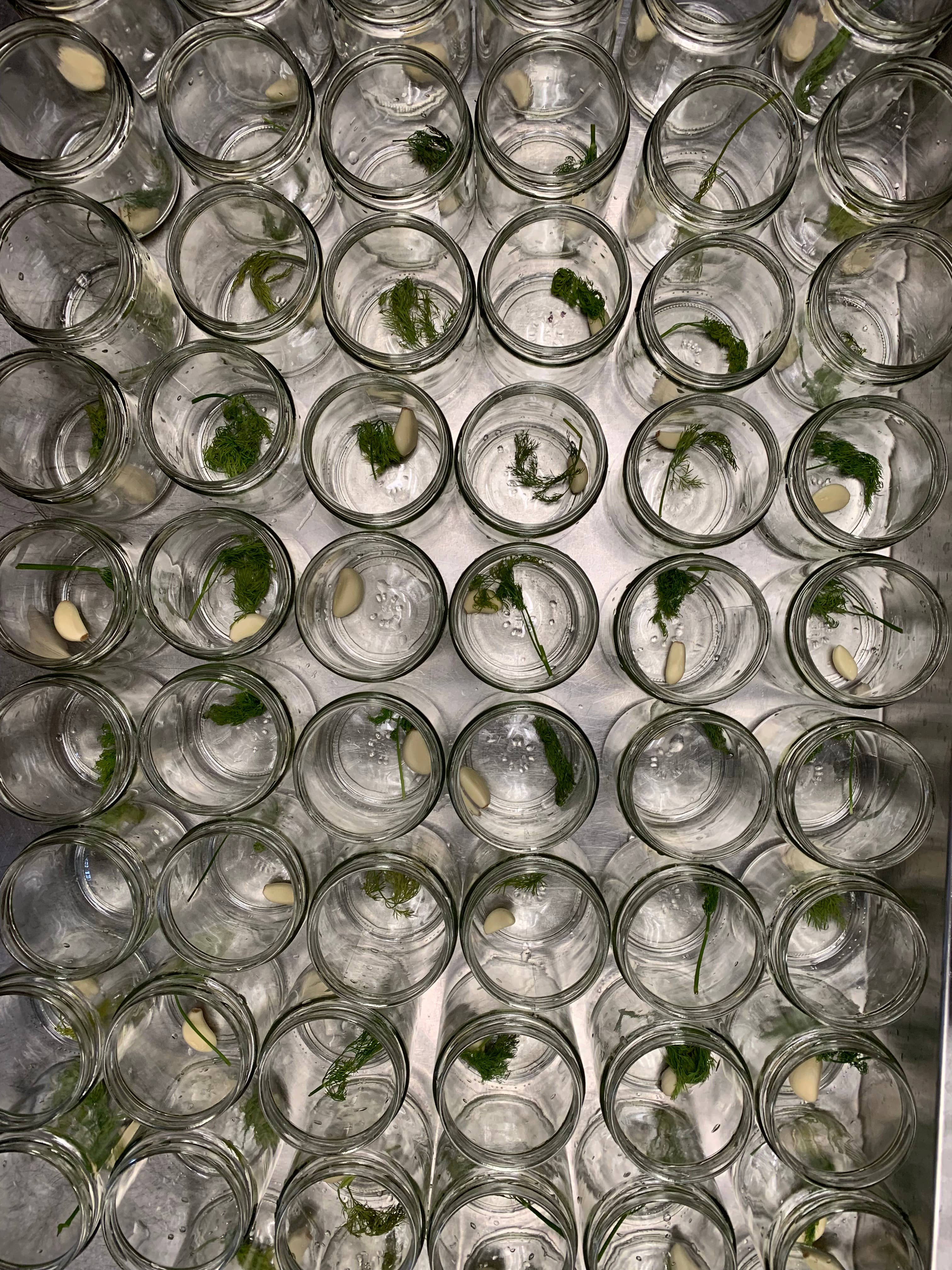 Hornsby Farms - Wholesale Pickled Vegetables - Dill Pickles2