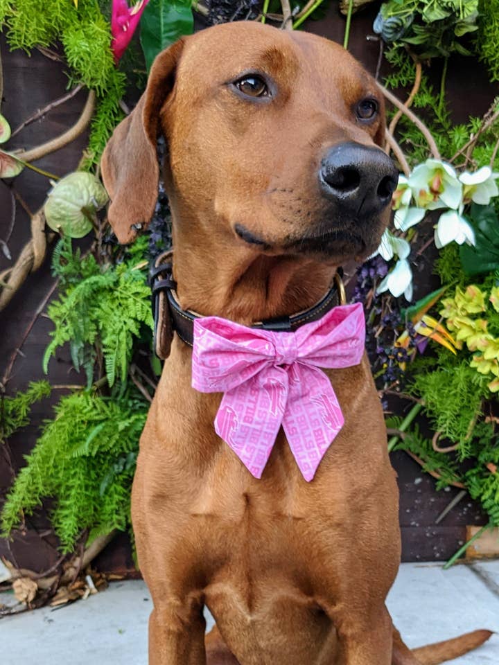 Buffalo Bills Pink Sailor Bow - Fotbollssamling för wholesale av Koa's Ruff Life