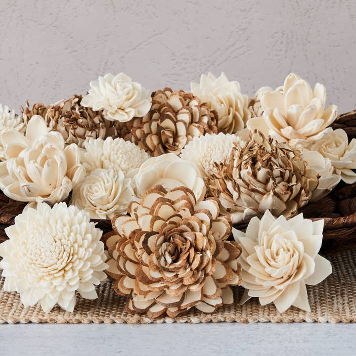 Succulent Assortment - set of 50 for wholesale by Oh You're Lovely