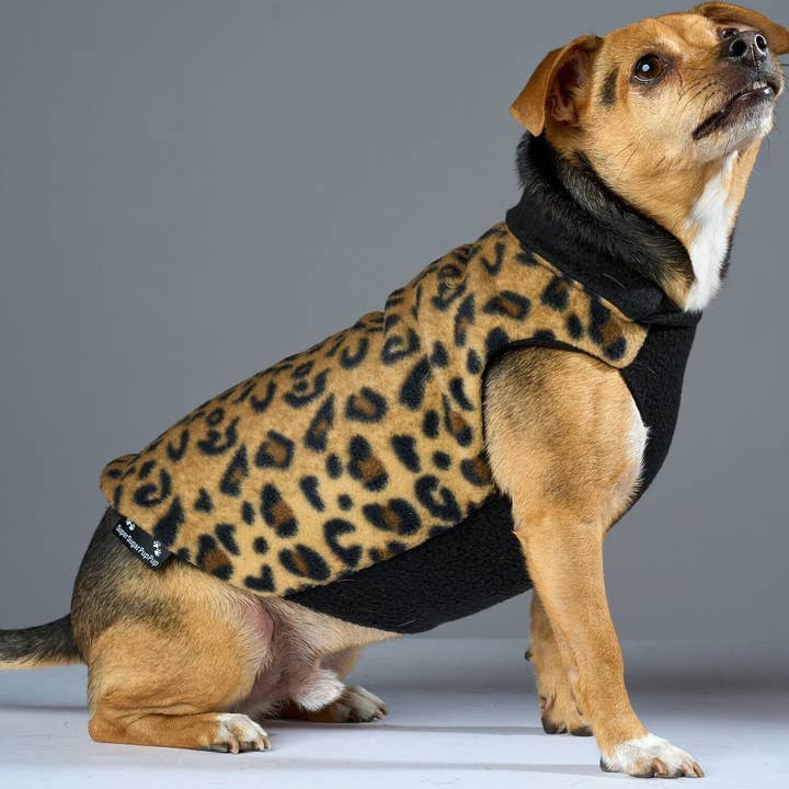Disco Dog Fleece-Hundepullover mit Leopardenmuster für den Großhandel von Disco Dog