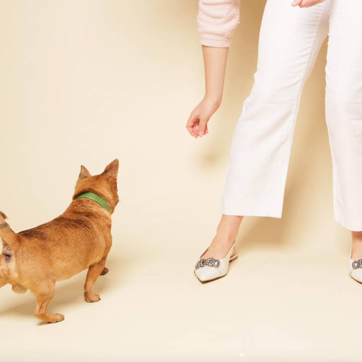 Skylos Collective – wholesale Pet poo bag – Oceanex Dog Poo Bags (20pcs) Made with Oyster Shell Extract2