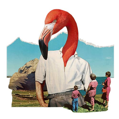 The Roasting Party – wholesale Coffee beans – Drake1