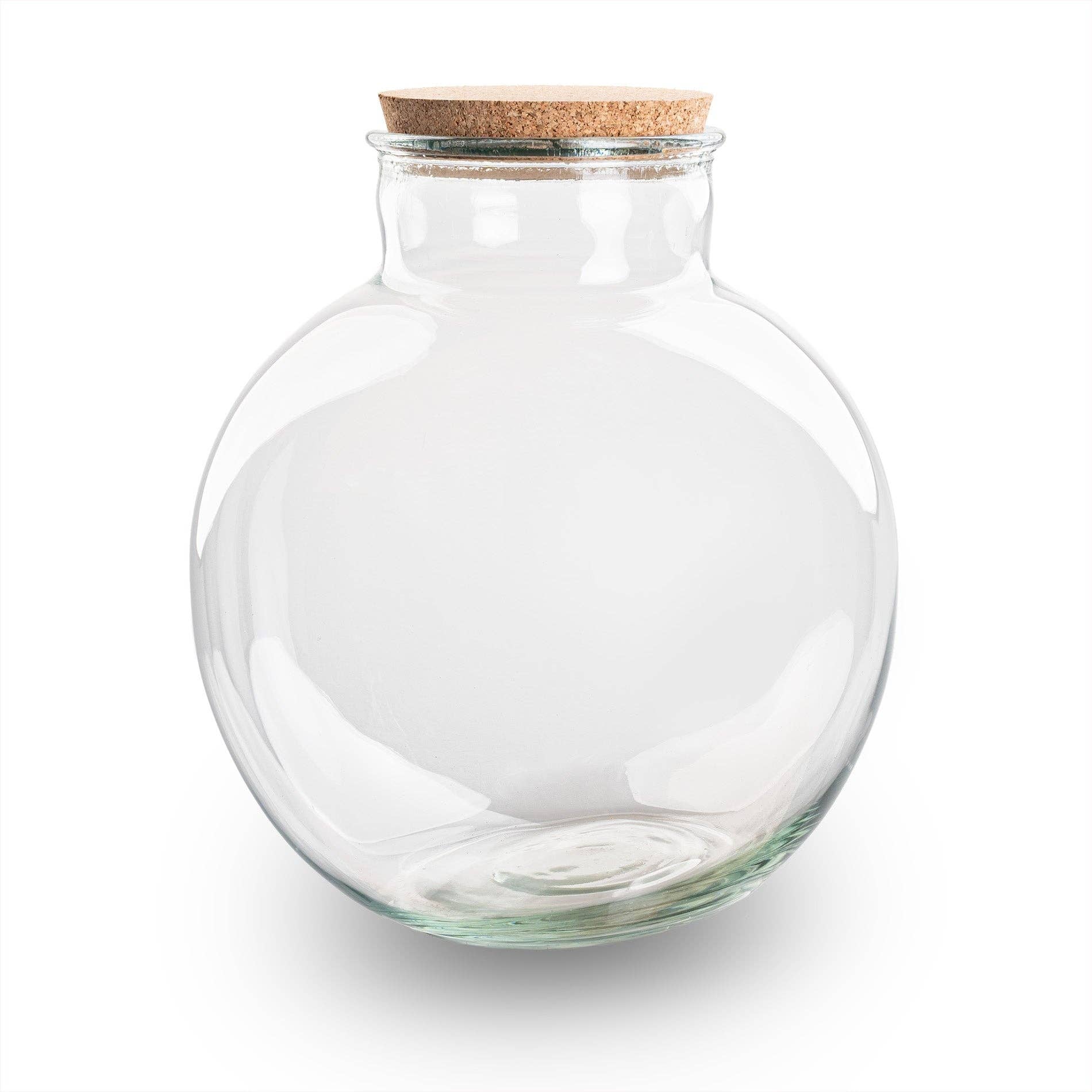 Trendhero.nl/b2b - Wholesale Terrarium - Terrarium bottle 'Teddy' - Incl. (LED) cork - Closed terrarium Ø 25 cm ↑ 26.5 cm0