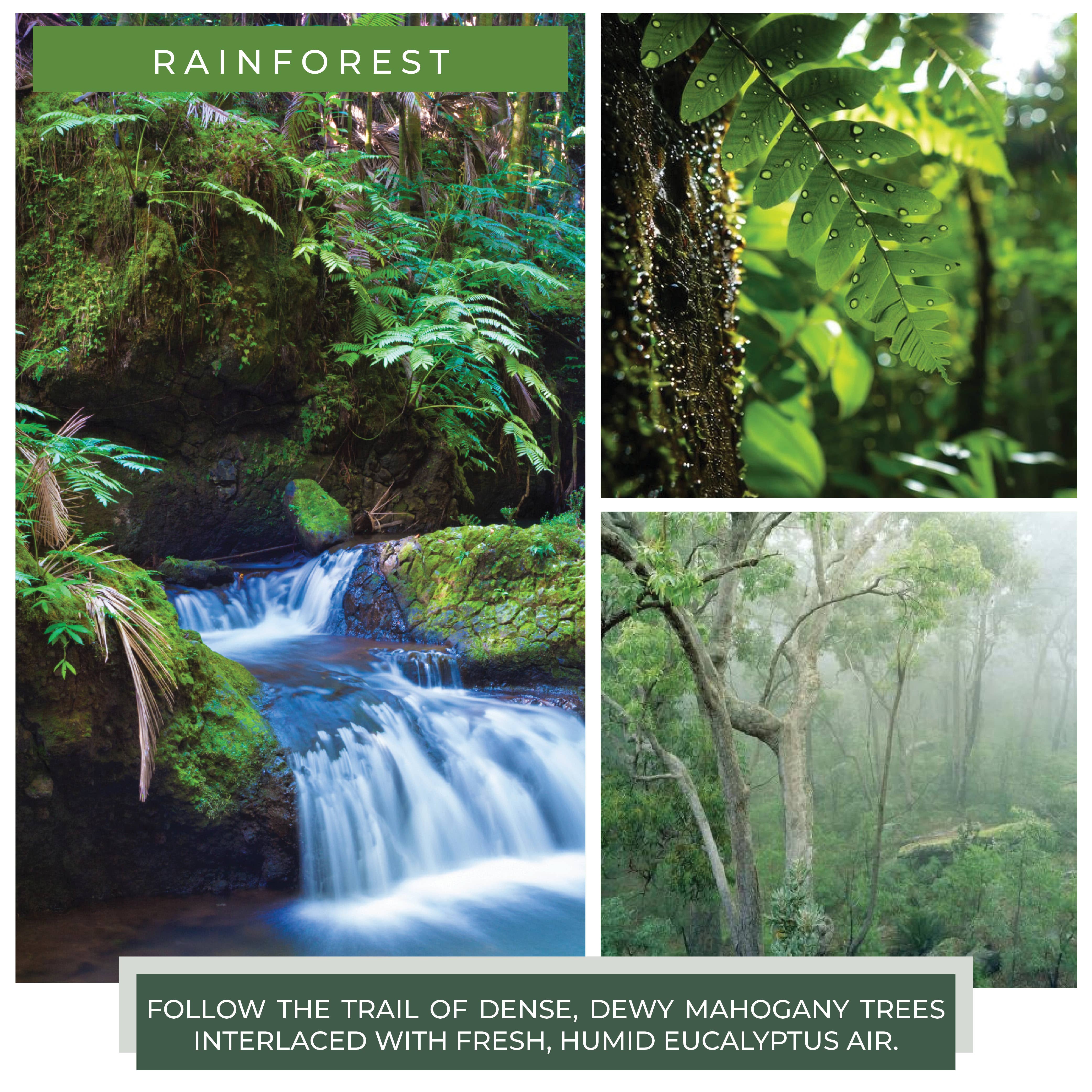 A Cheerful Giver - Wholesale Jar/Filled Candle - Cheerful Candle (24oz.) – Rainforest2