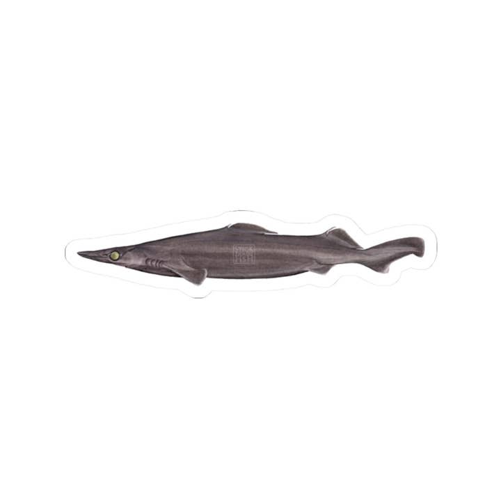 Arrowhead Dogfish Sticker and other Purchase Wholesale cuttlefish bone. Free Returns & Net 60 Terms on Faire trending on Faire.