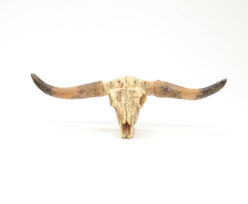 Old West Dry Cattle Skull - #118-1008 for wholesale on Faire2