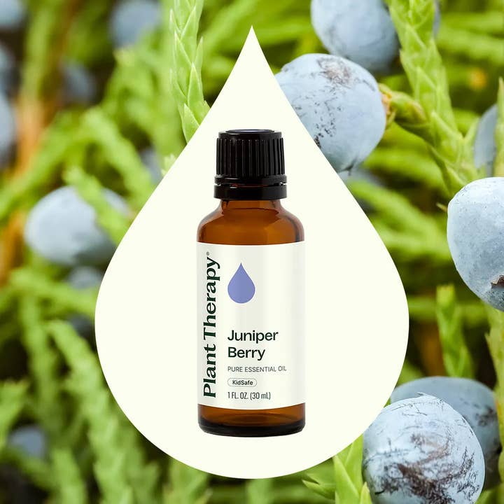 Plant Therapy - Wholesale Essential Oil - Juniper Berry Essential Oil 30 mL1