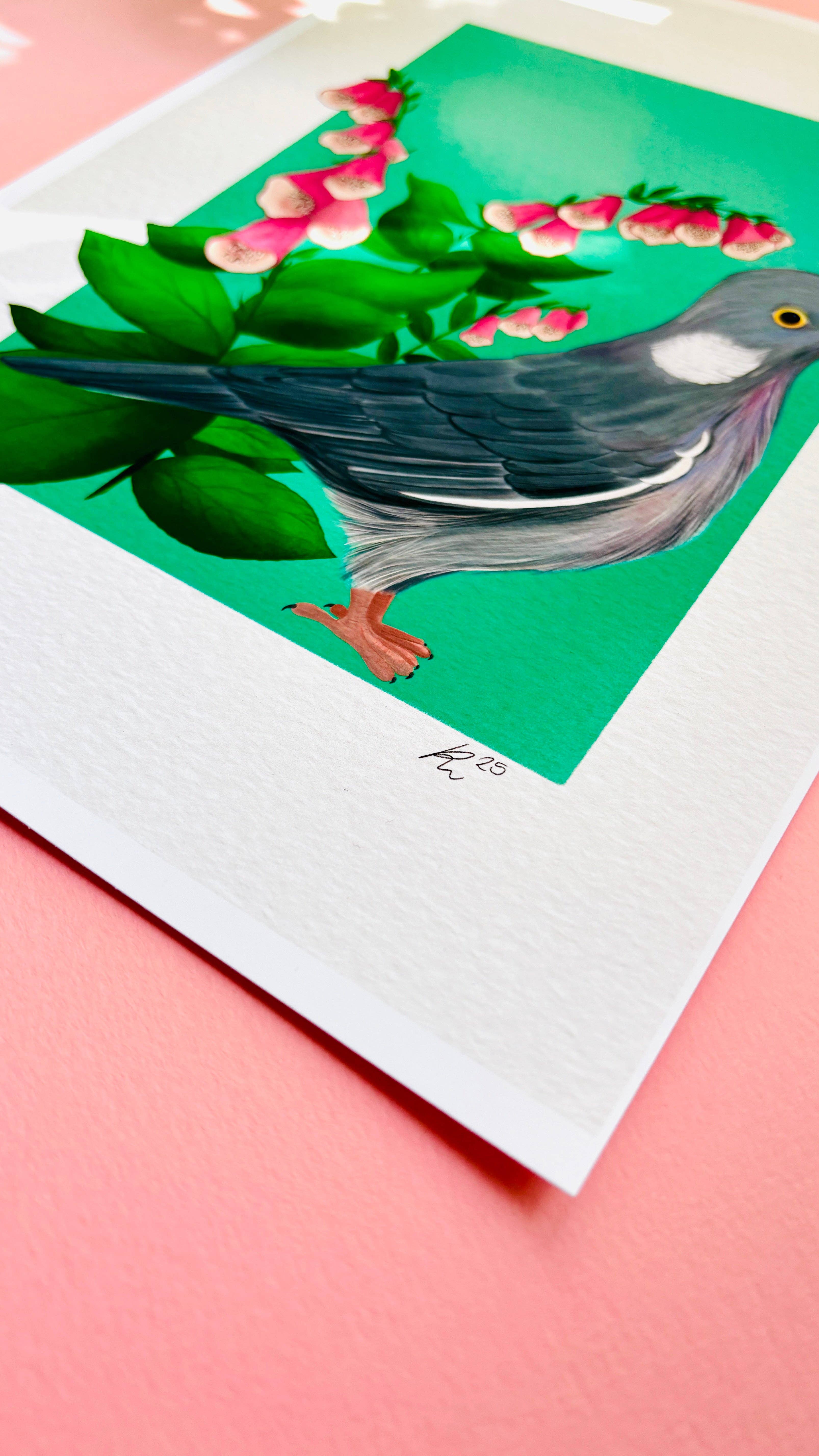 Pixiecraft - Wholesale Art Print - Wood Pigeon Art Print- British Wildlife Illustration6