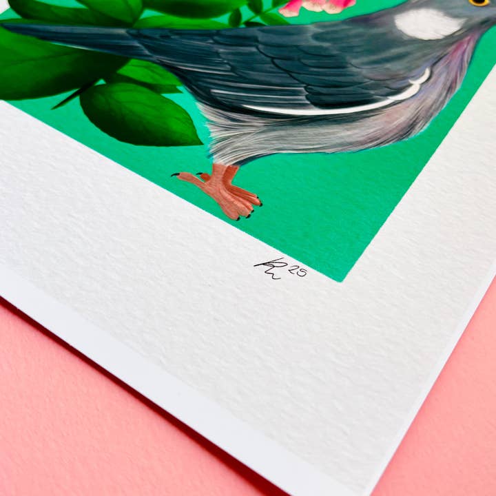 Pixiecraft - Wholesale Art Print - Wood Pigeon Art Print- British Wildlife Illustration6