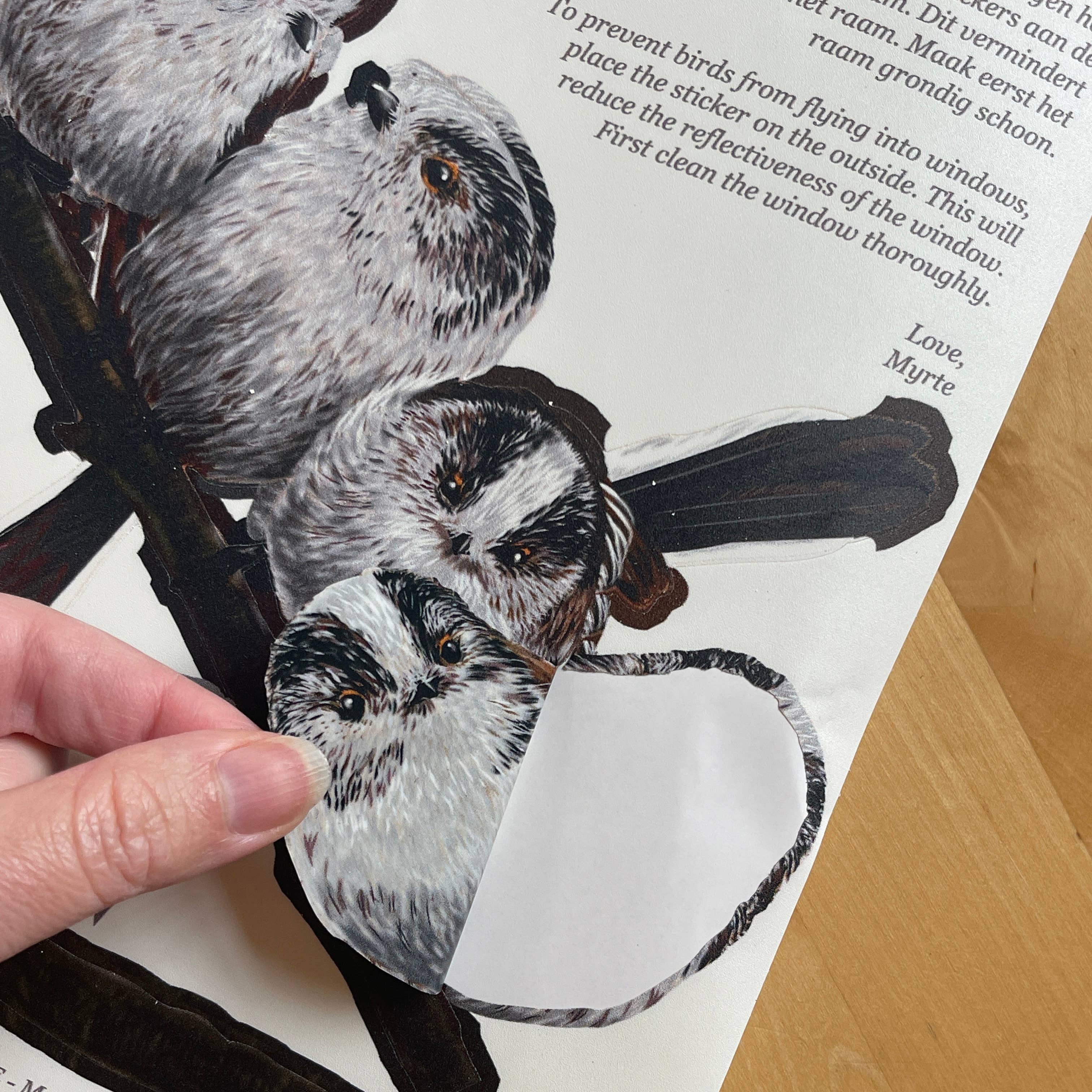 MYRTE – wholesale Wall decal/stickers – Long-tailed titmouse Double-sided Window Sticker1