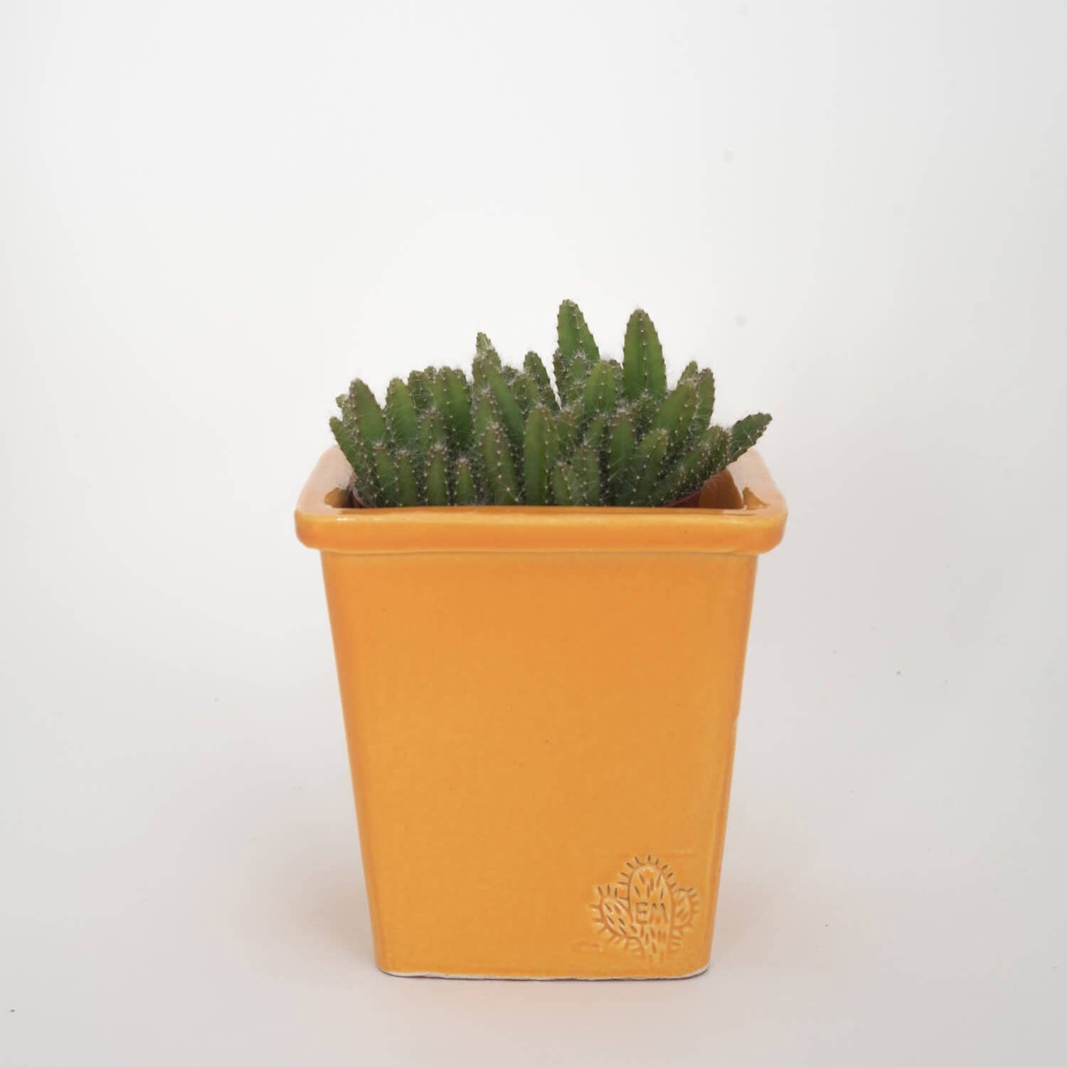 Vasos Quadrados by EM – Engroshandel Plantekrukke – Medium firkantet vase 14x14 cm - blank0