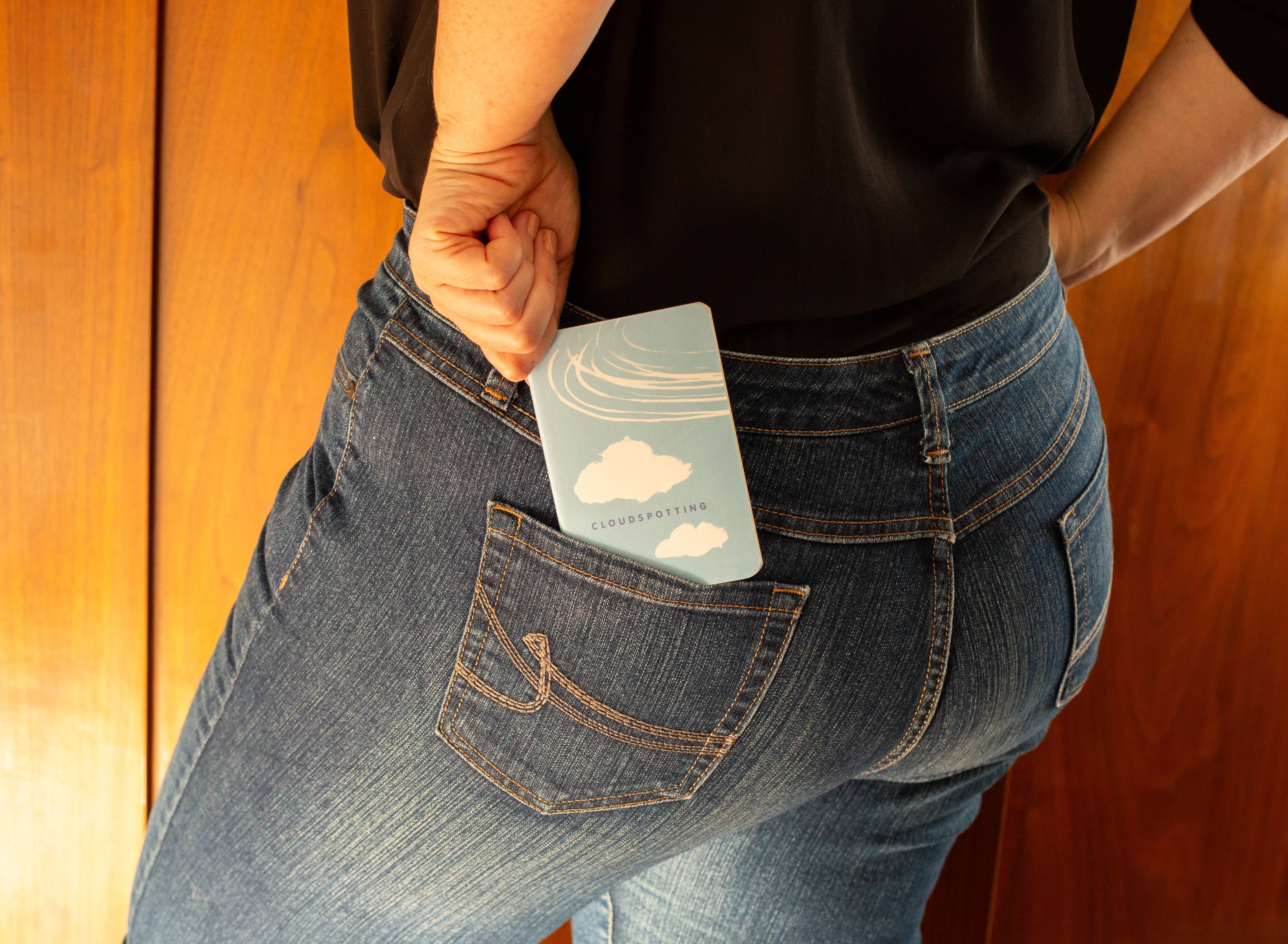 Unemployed Philosophers Guild - Wholesale Notebook - Cloudspotting Notebook4