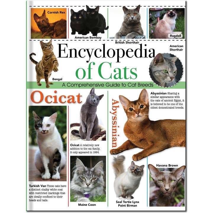 Encyclopedia of Cats: A Comprehensive Guide to Cat Breeds - Children's Reference Book for wholesale by Robert Frederick Ltd