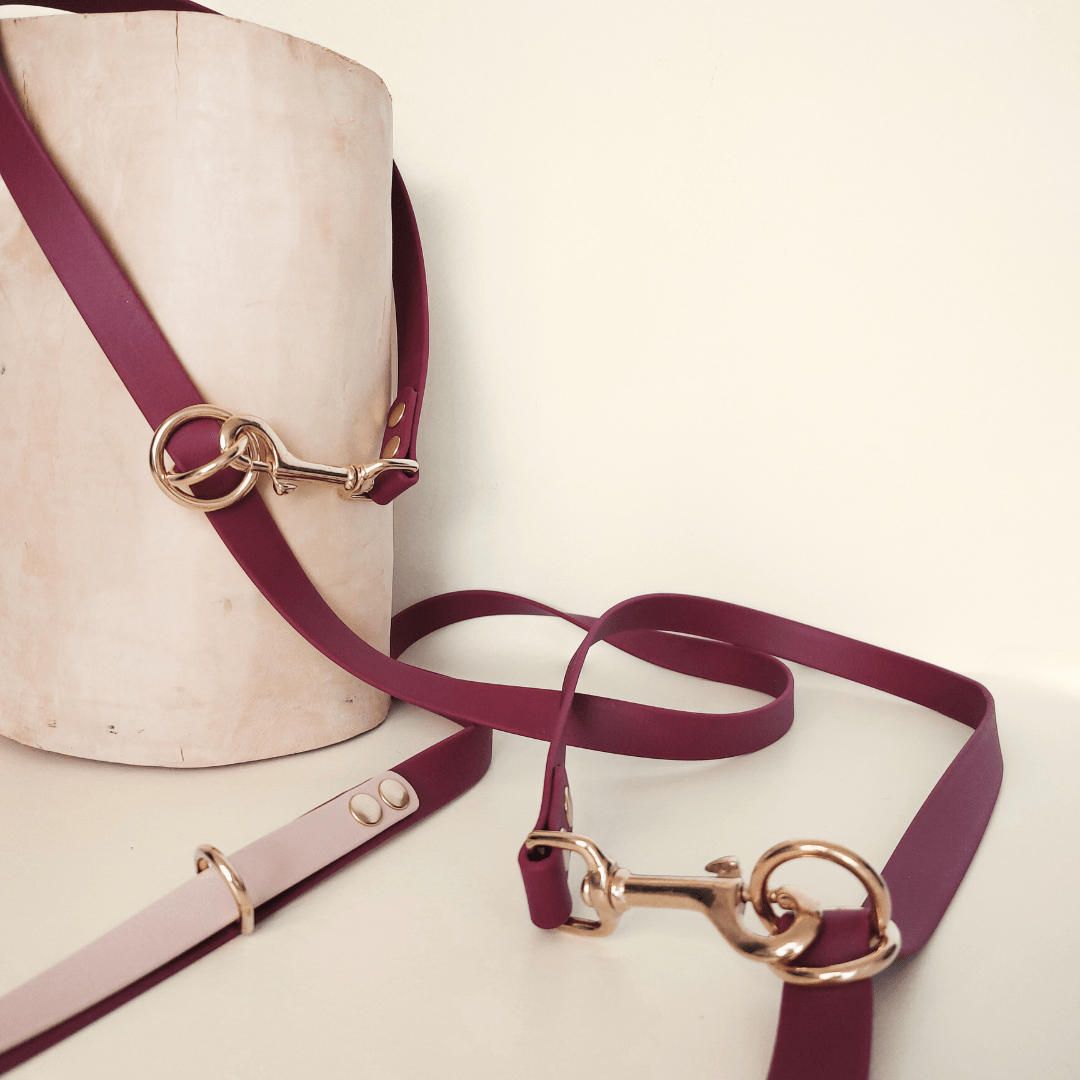 Truffe & Flair - Wholesale Pet Leash - Dog - Dog multi-position leash - Biothane - Raspberry0