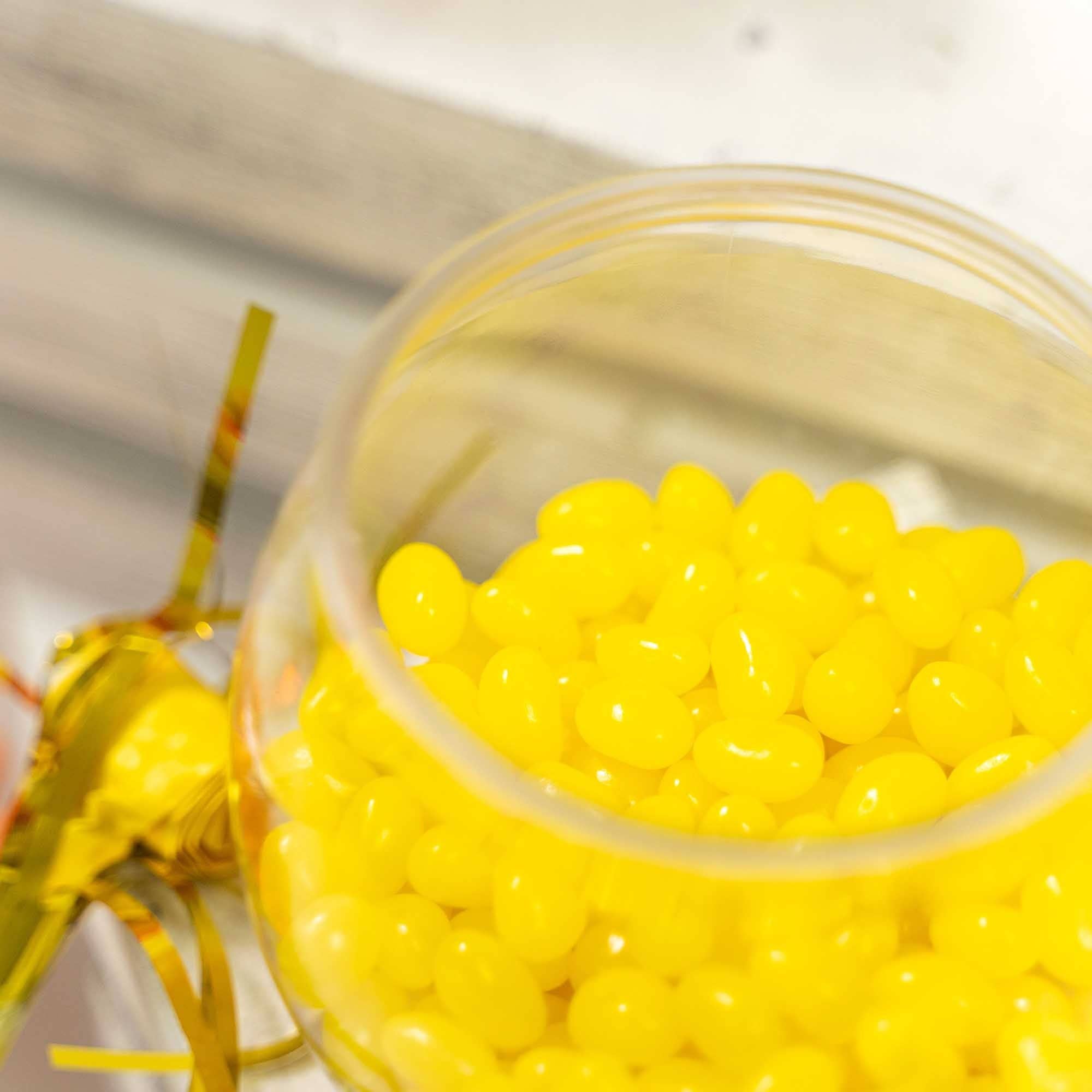 Portofino International Trading, USA - Wholesale Decorative Plate/Dish/Bowl - Plastic Fish Bowl 5"5