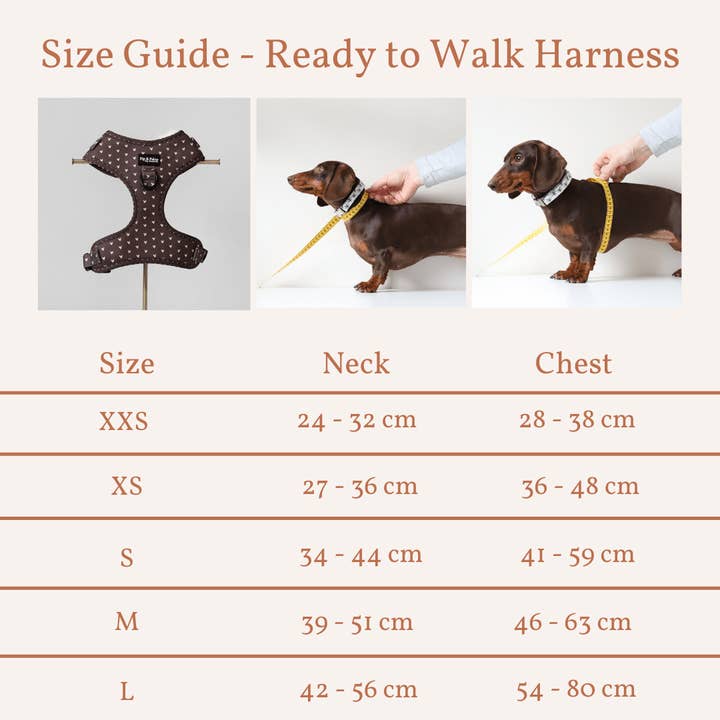 Pip and Palms - Vente Harnais – chien - Harnais pour chiens Choco Loco Love1