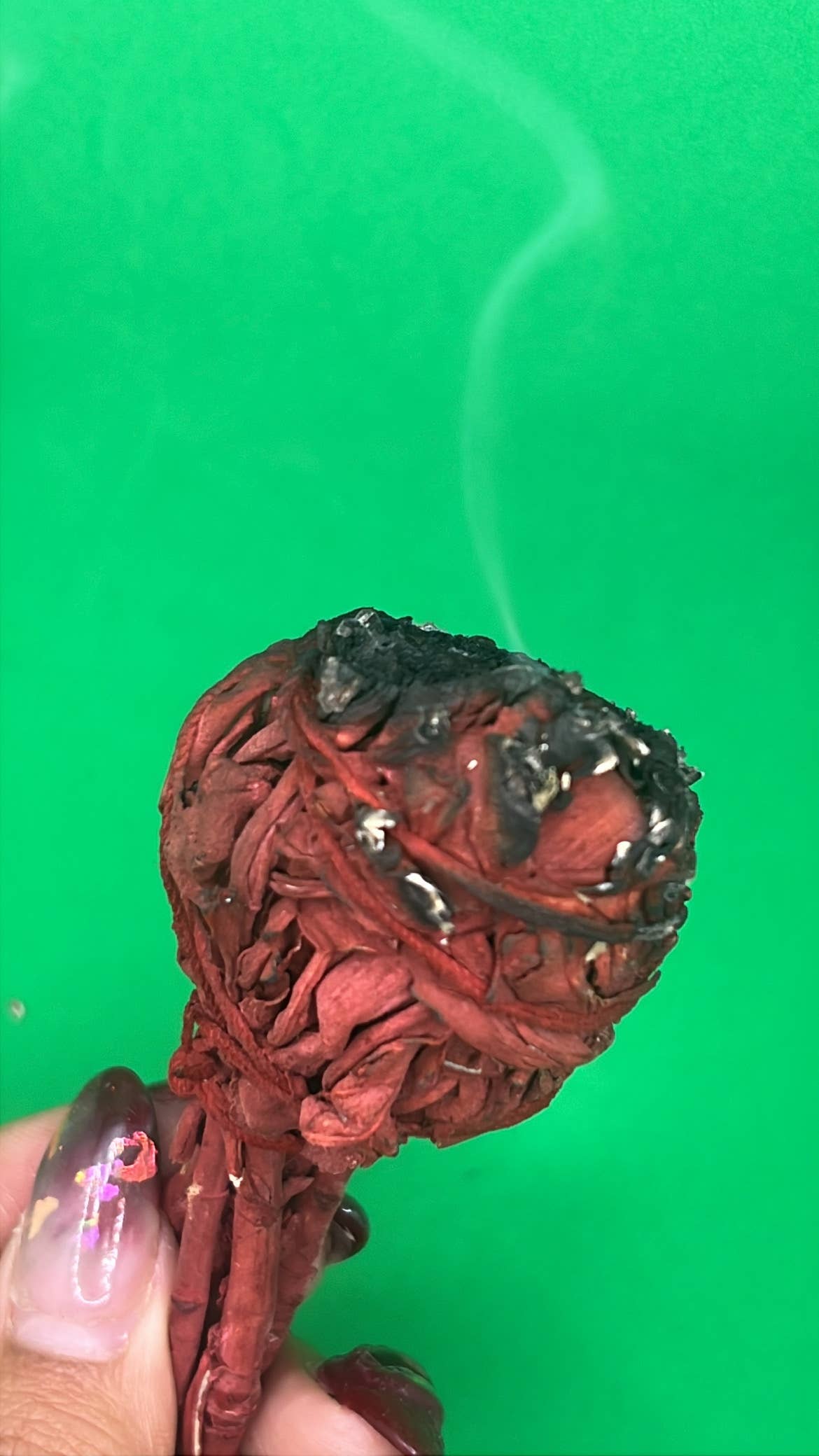 WaterBruja - Vendita all'ingrosso Stick smudge - Bastoncino di Salvia al Sangue di Drago, 4" Protezione e Purificazione4