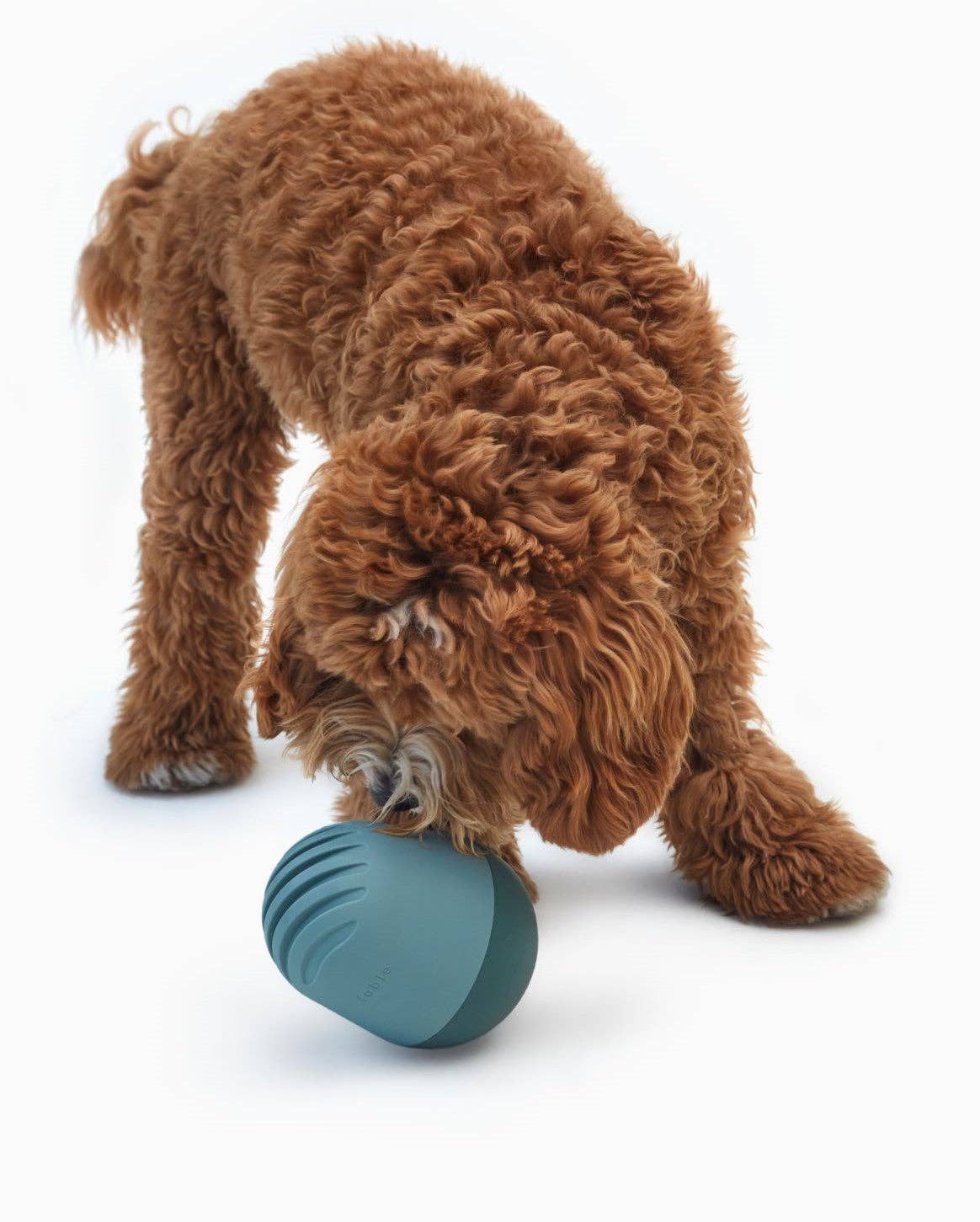 Fable Pets - Wholesale Pet Bowl - Cat/Dog - The Game™ Puzzle Feeder1