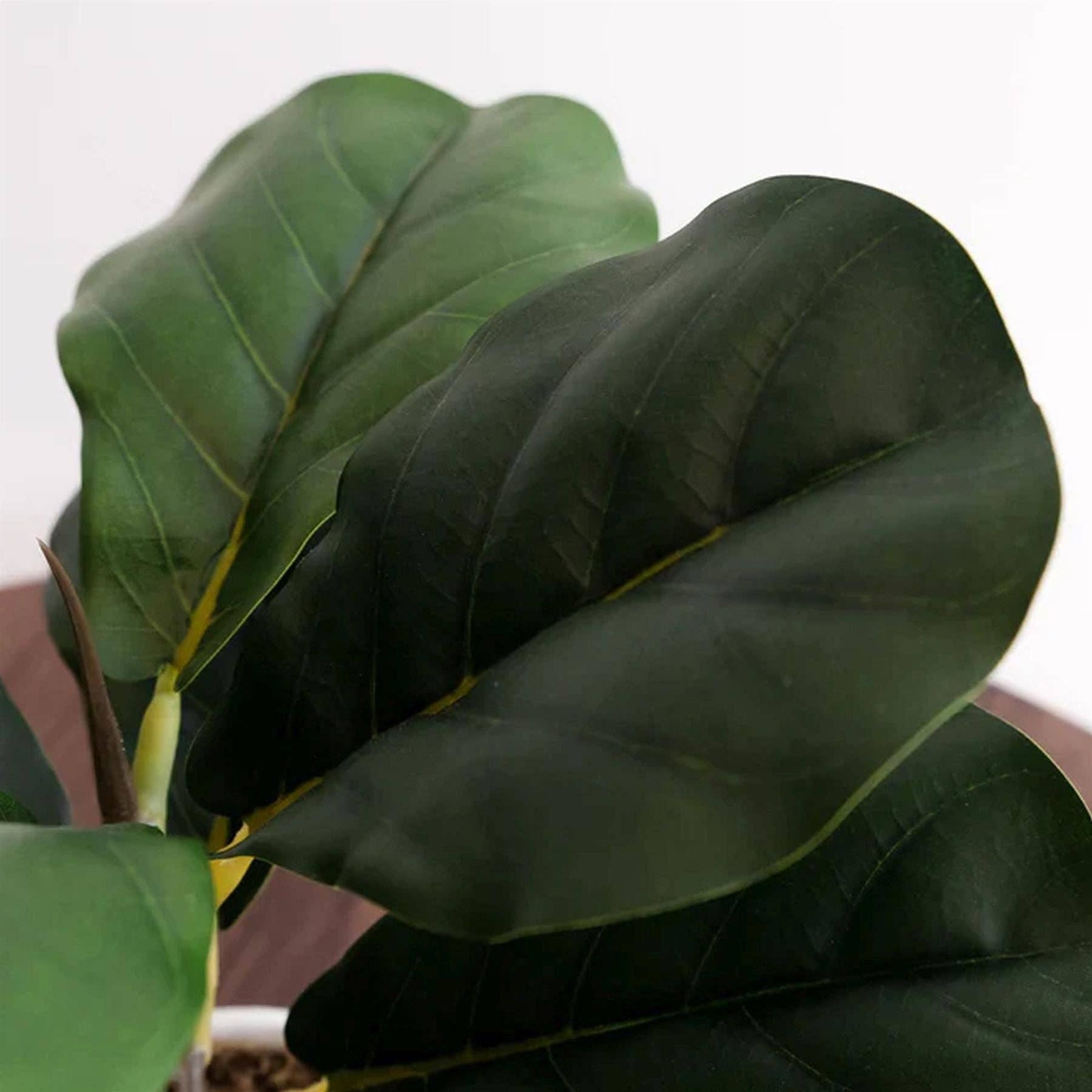 Leaf Design UK LTD - Wholesale Artificial plant - Pack of 6 x 38cm Potted Fiddle Fig Plant1