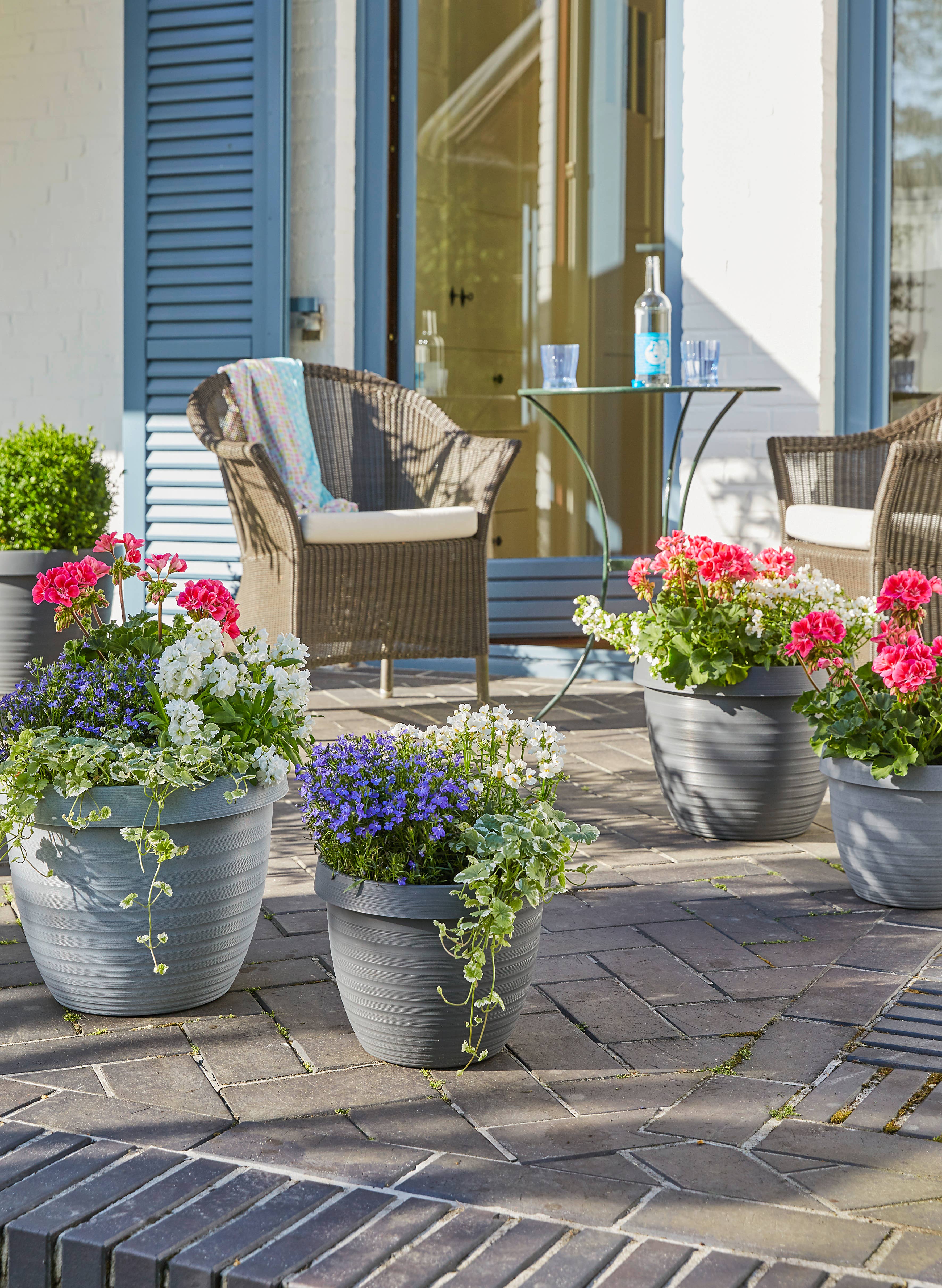 Scheurich - Wholesale Plant Pot - Country Star 270 plastic flower top/planter2