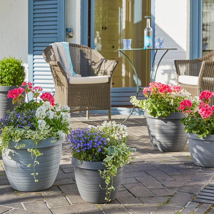 Scheurich - Vente Pot - Country Star 270 bac à fleurs/plante en plastique2