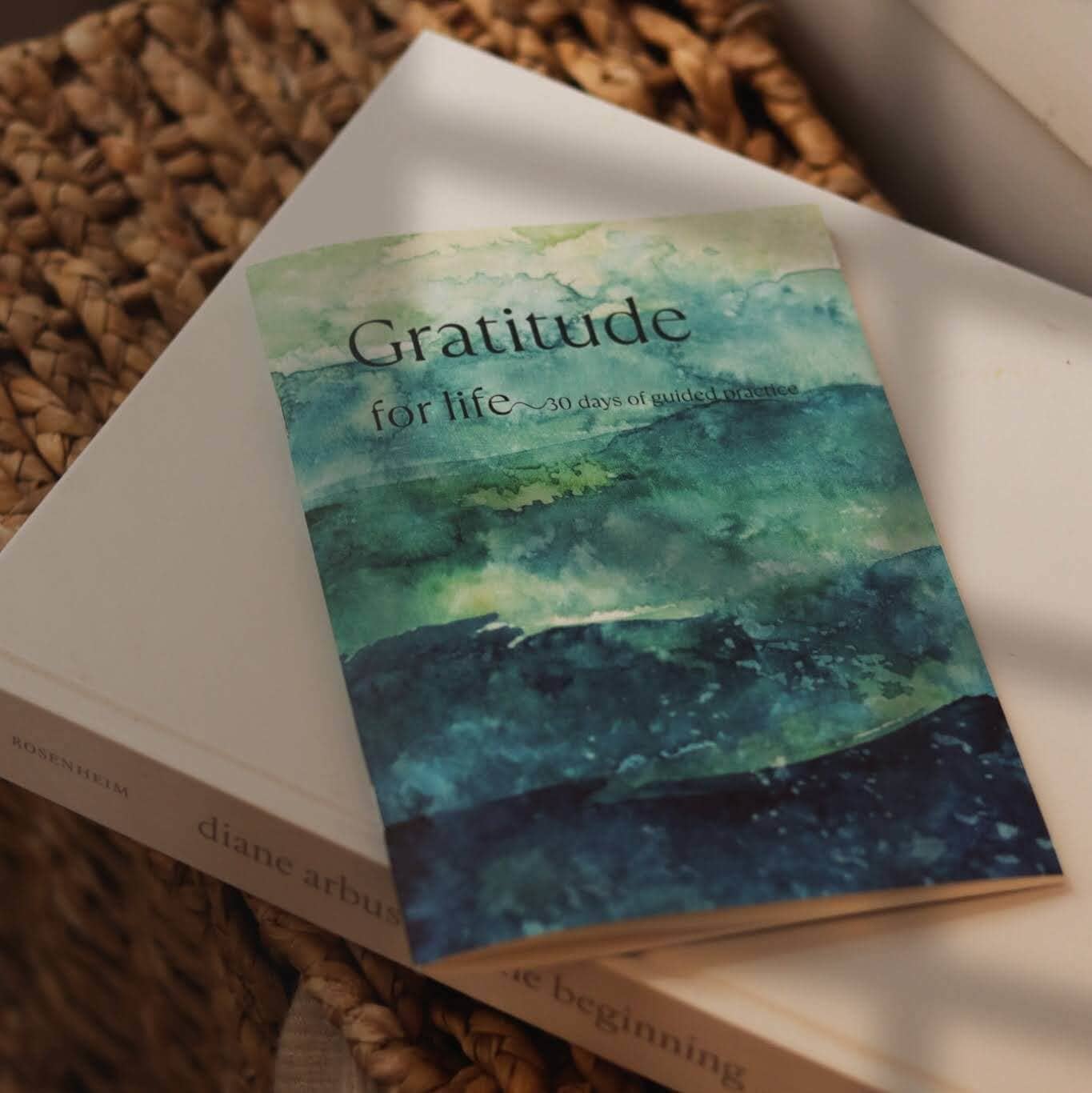 Give Yourself Kindness - Wholesale Journal/Diary - The Gratitude Journal: 30 Days, 30 Different Prompts1