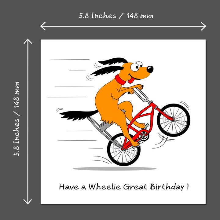 Swizzoo Cards - Wholesale Birthday Card - Fun Birthday Card for Special Friend Son Teenager Teen Grandson Nephew - Funny Cycling Humorous Bike Wheelie Bicycle 10 11 12 13 14 15 16 174