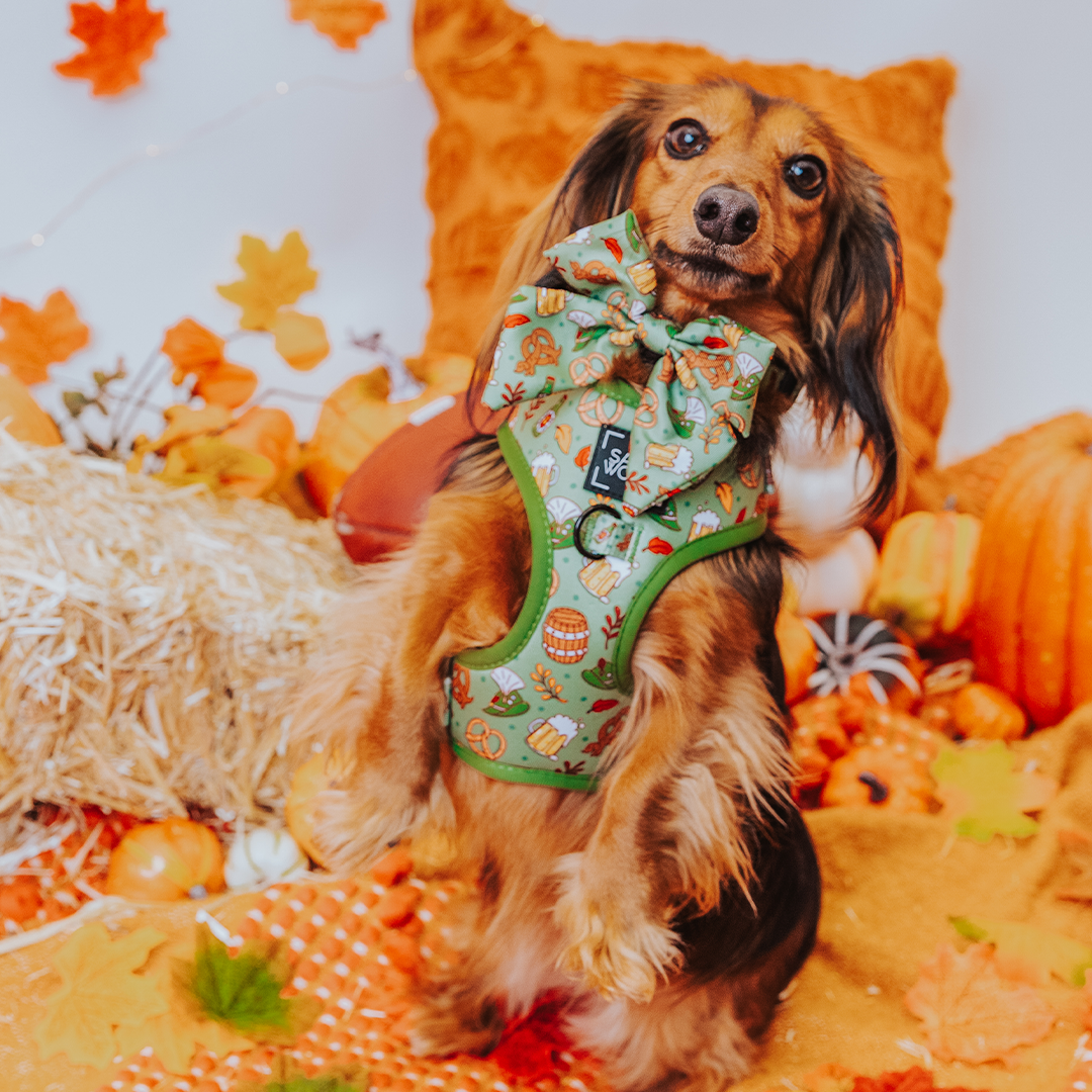 SASSY WOOF - Wholesale Pet Bow Tie - Dog - Dog Sailor Bow - Wurst Behavior5