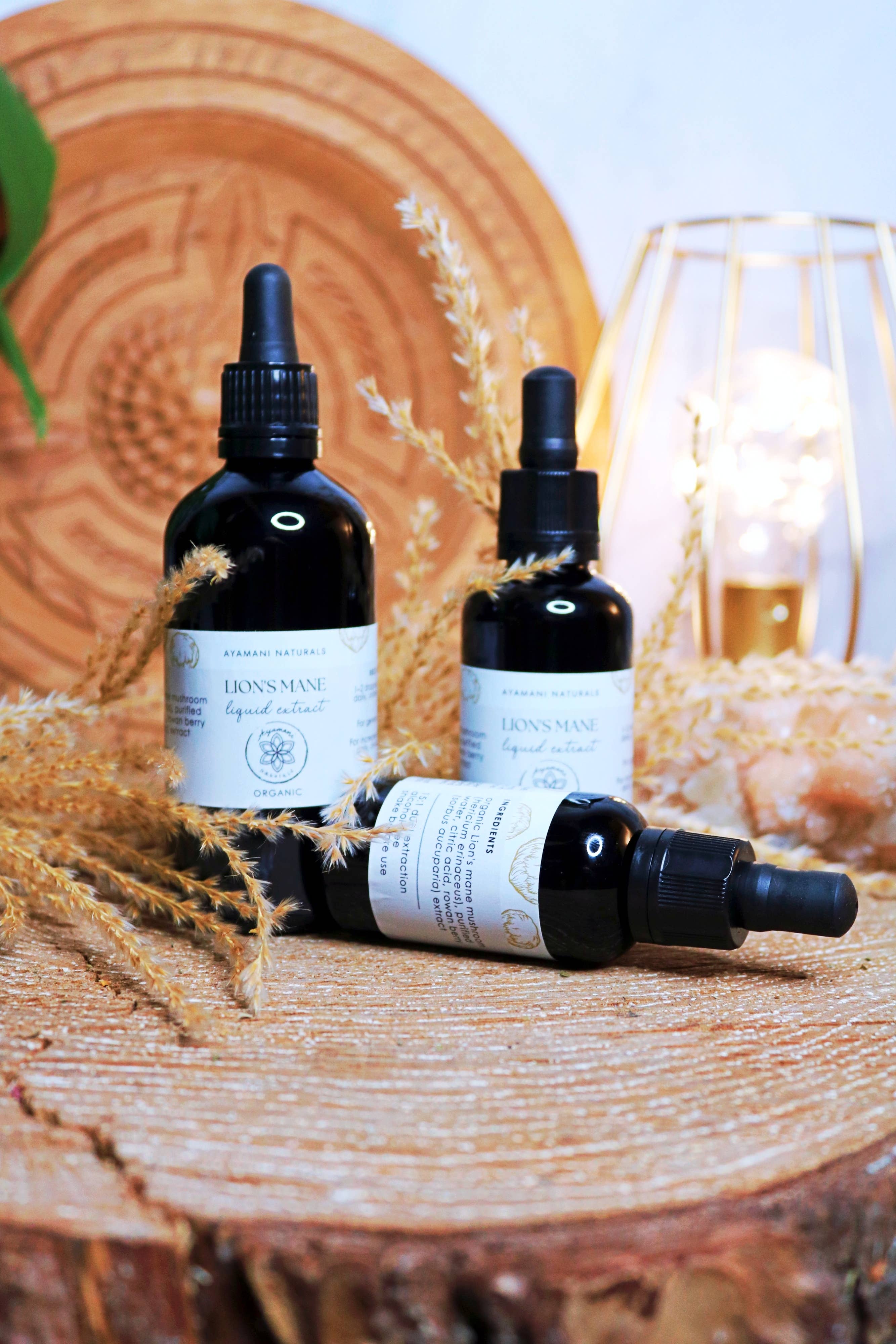 Ayamani Naturals – wholesale Tincture – Lion's Mane 15:1 Liquid Extract Alcohol Free | ORGANIC3