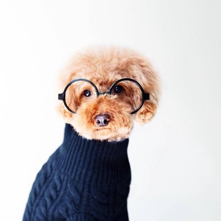 Negro El RUFUS de venta al por mayor en Faire