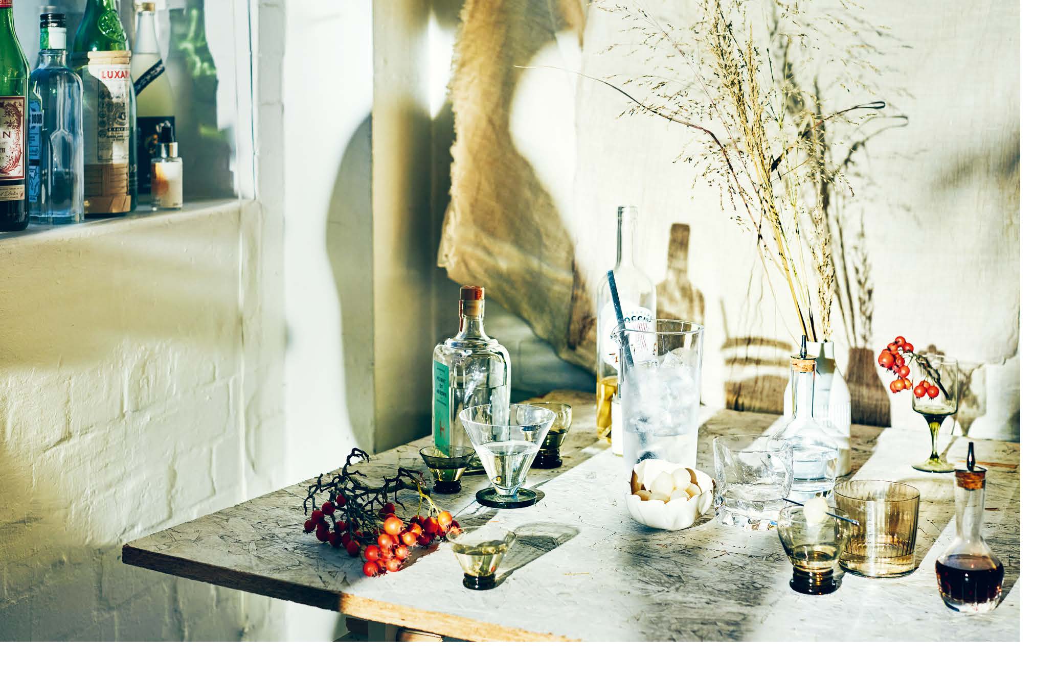 Chronicle Books - Wholesale Mixology & Beverage - Martini2