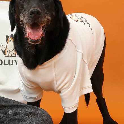 Hoogwaardige huidverzorgingstruien voor huisdieren voor wholesale door MOLUYUKA