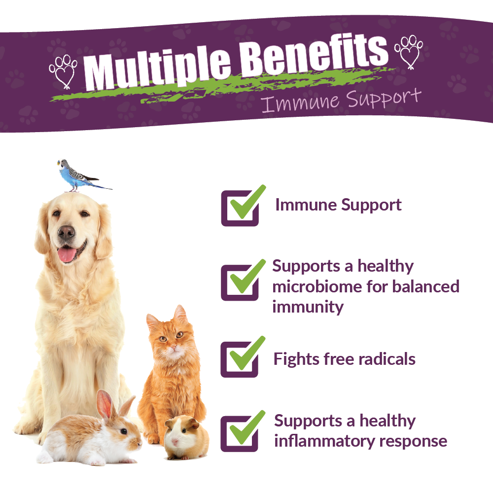 Amber NaturalZ, Inc. - Wholesale Pet Supplement - Cat/Dog - Vibactra | Pet Supplement1