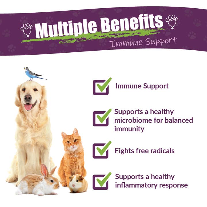 Amber NaturalZ, Inc. - Wholesale Pet Supplement - Cat/Dog - Vibactra | Pet Supplement1