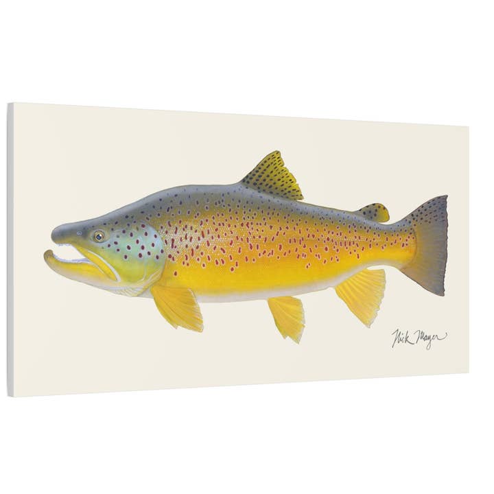 Brown Trout III Canvas Print, New! for wholesale by Nick Mayer Art