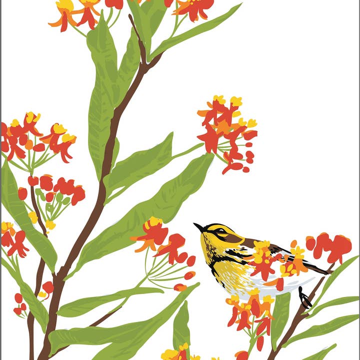 RBI-218 Milkweed & Warbler Art Print: Native Bird & Flower for wholesale by Rigel Paper
