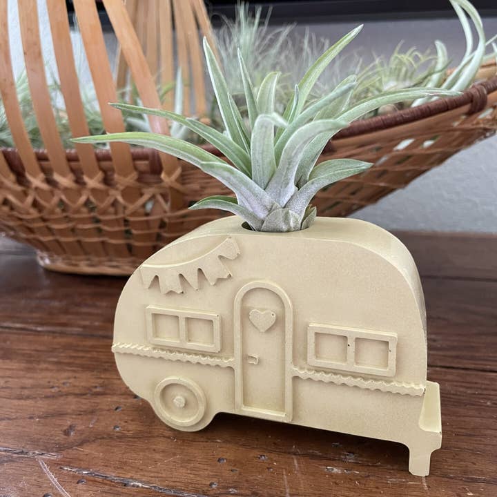 "The Adventurer" Cement Air Plant Holder for wholesale by Sage Planta