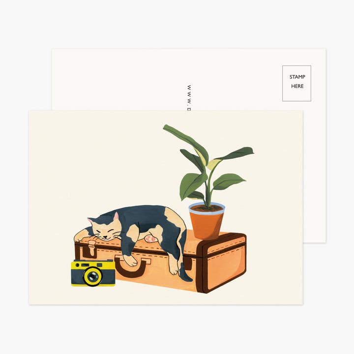 Sleeping Cat Postcard for wholesale by Daisy Vibe