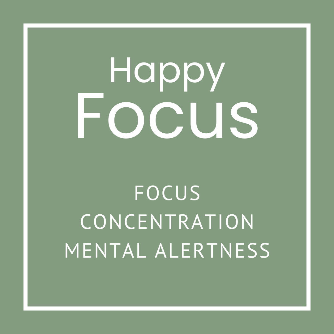 The Original Oil Shop - Wholesale Aromatherapy Inhaler - Nasal Inhaler Starter Kit15