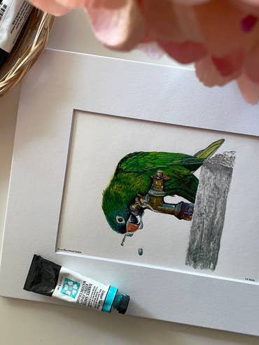 Blue-crowned Parakeet - Giclee Print for wholesale by Bird Art by KB