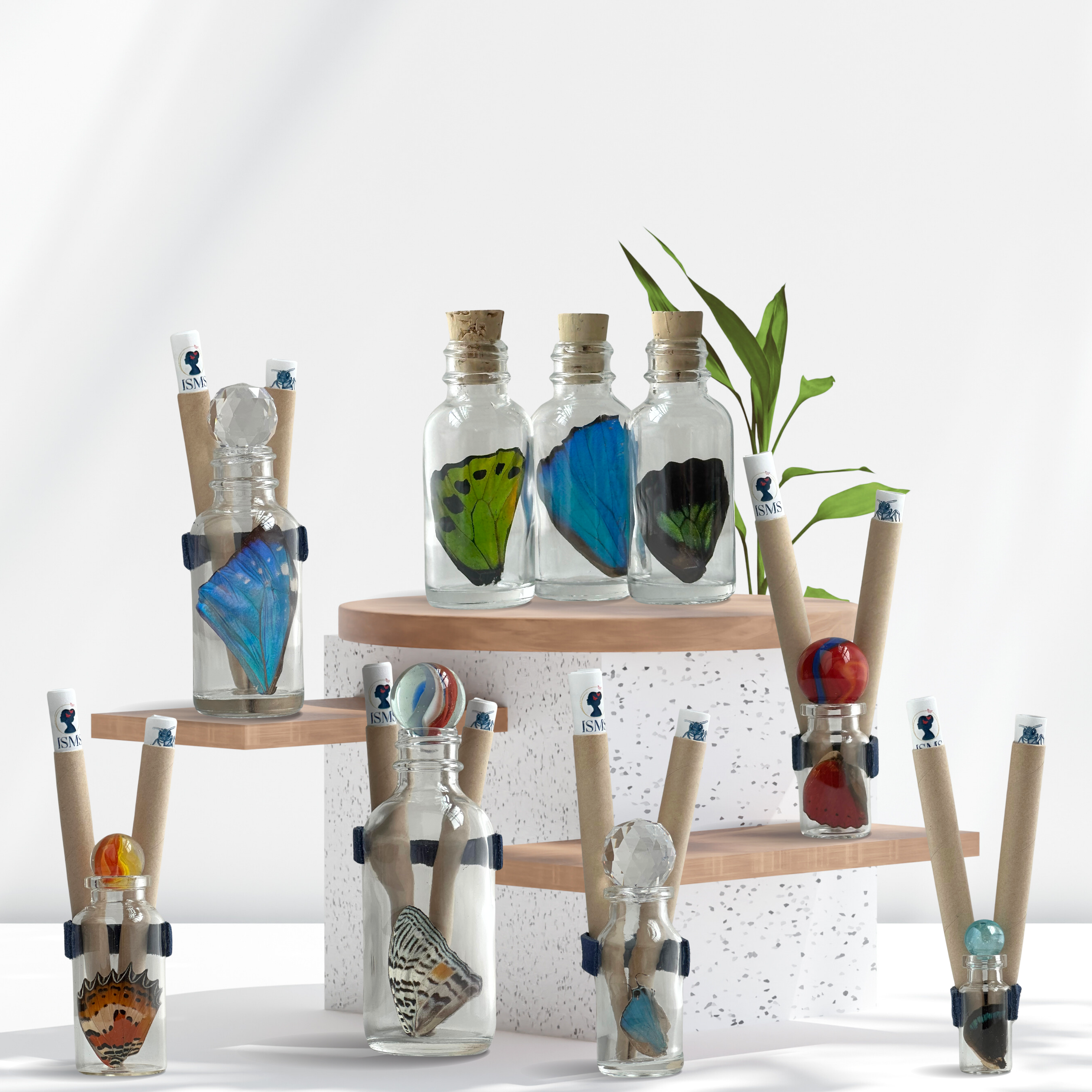 Isms - Wholesale Decorative Tabletop Object - Real Premium Butterfly Wing in Decorative Glass Bottle1