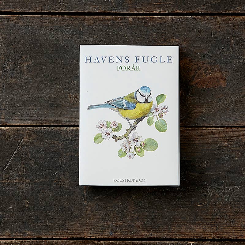 Koustrupco - Wholesale Postcard Set - Garden birds spring cardfolder- made in Europe0