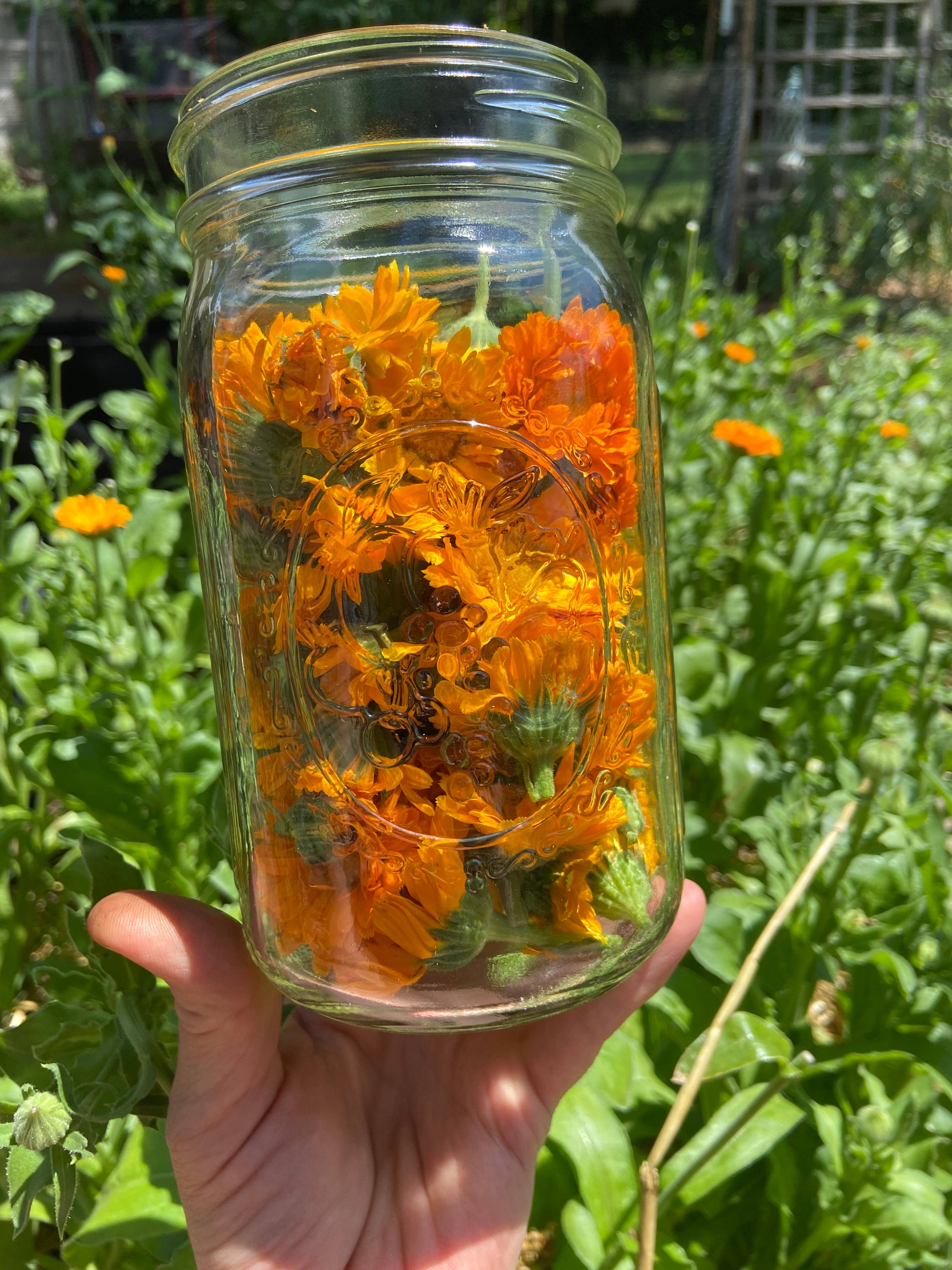 Mullein & Moon - Wholesale Healing Salve/Balm/Cream - Ditch the Itch Herbal Salve2