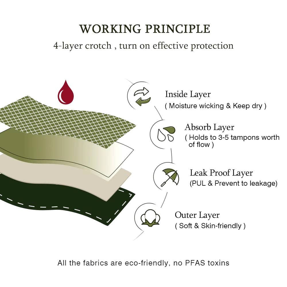 Re:gn – wholesale Menstrual pad/liner – Bikini Style Reusable Period Pants - Biodegradable Bamboo Cotton Period Pants - S to 2XL2