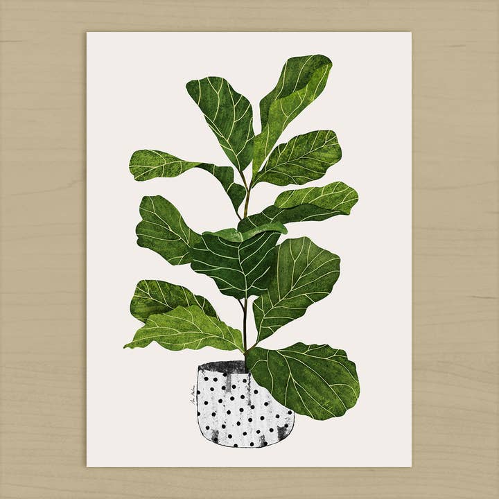 El buen limón - Wholesale Art Print - Ficus Lyrata Art Print1